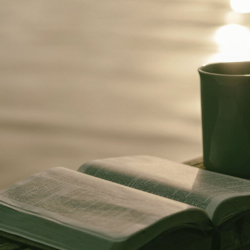 Adult Ministries