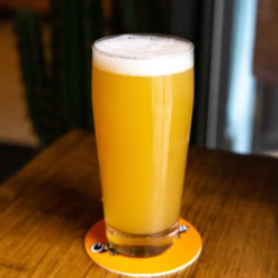 Craft Beer