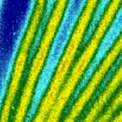 Thermal Imagery