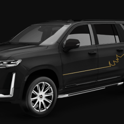 FREE VIP Transportation