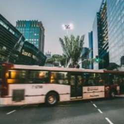 Bus Accidents