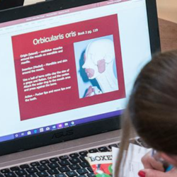 Online Learning