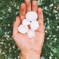 Hail Coverage