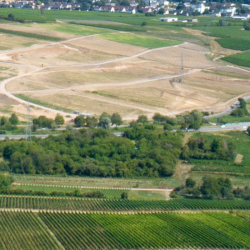 Site Selection