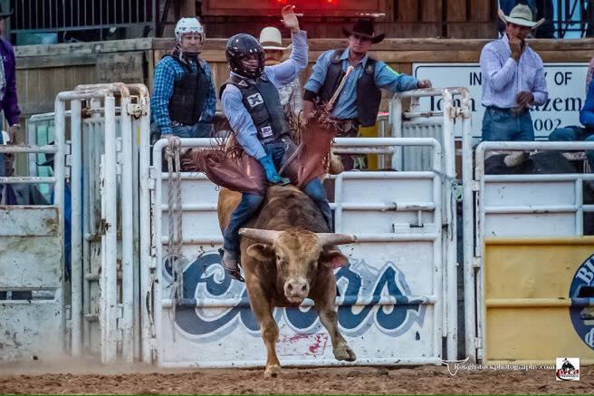 Bull Riding
