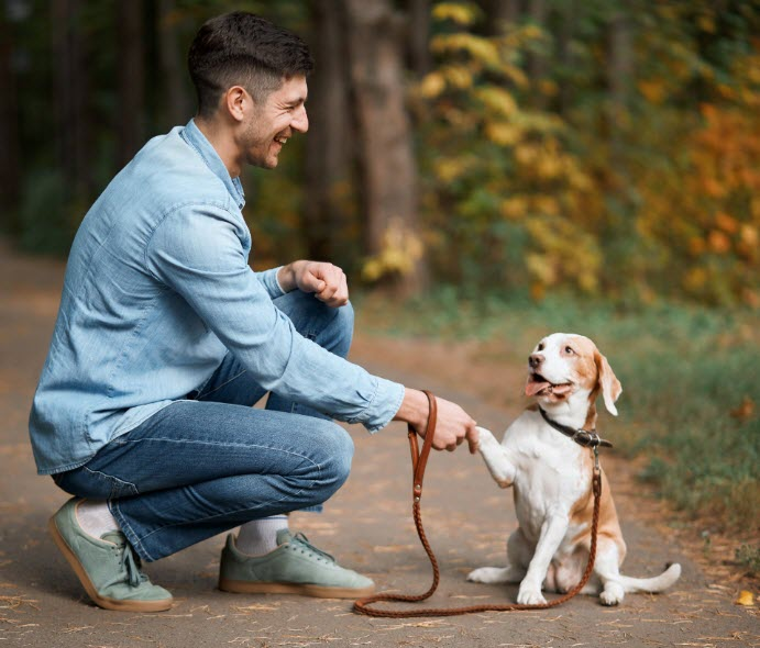 Pet Insurance