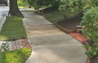 Professional Concrete Cleaning & Surface Restoration