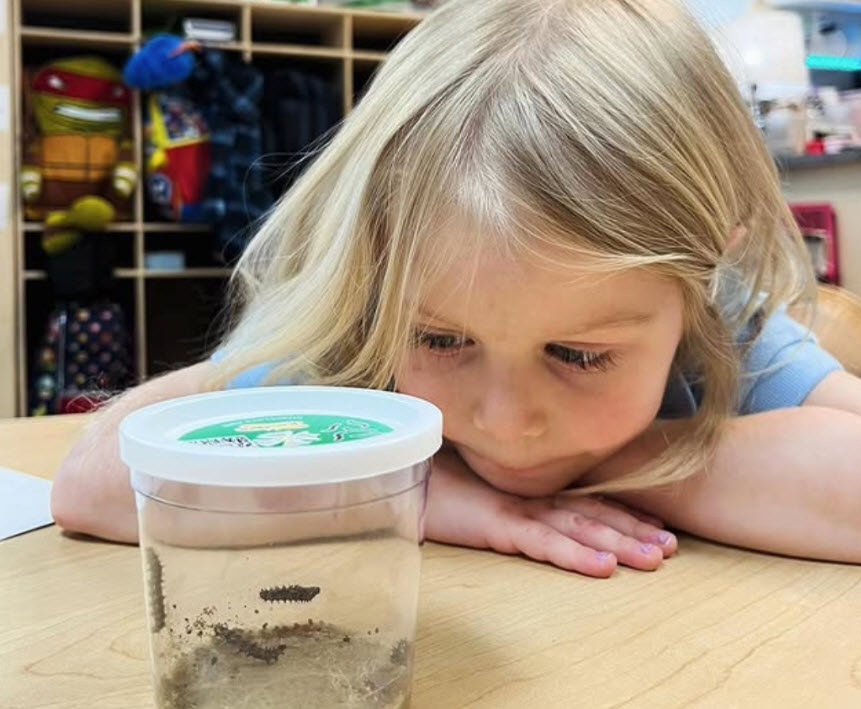 Pre-K Program (Aspen, Sequoia, Maple Classroom)