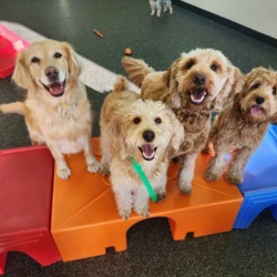 Daycare