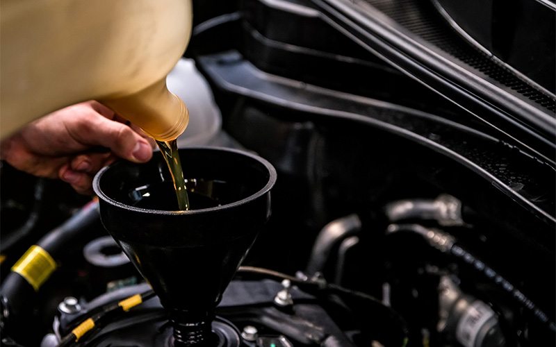 Oil & Filter Change