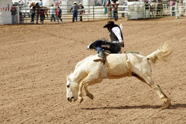 Bareback Riding