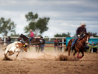 Tie-Down Roping