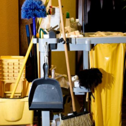 Sanitary Supply