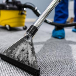 Carpet Care