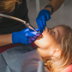 Cleanings and Prevention