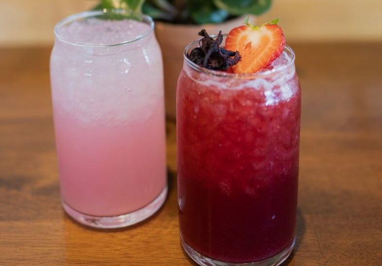 Favorites & Fresheners