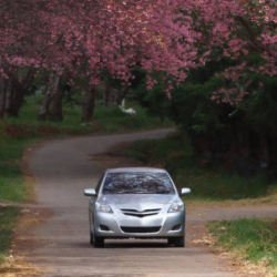 Schedule Test Drive
