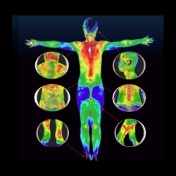 FULL-BODY BIORESONANCE BIOFEEDBACK SCANNING