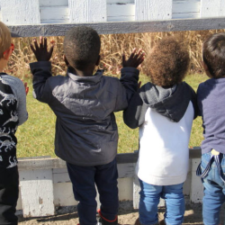 Preschool