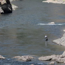 Fishing