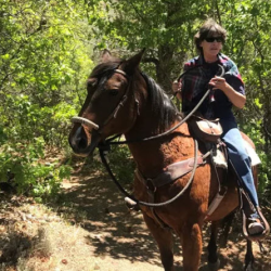 Horseback Riding