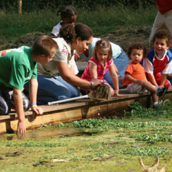 Education Programs