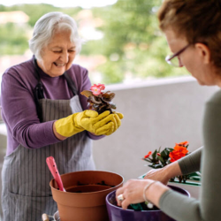 Independent Living