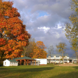 Center, Farm & Sanctuary