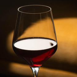 Wine by The Glass