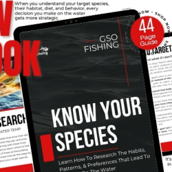eBook