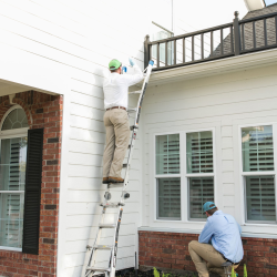 Mosquito control