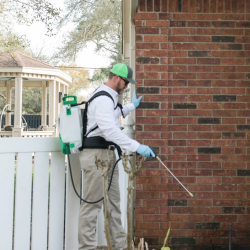 Termite control