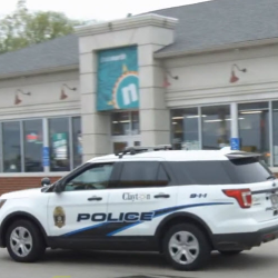 Police Services