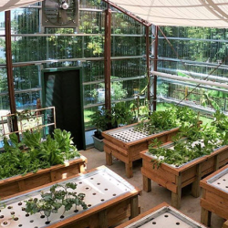 Production Greenhouses
