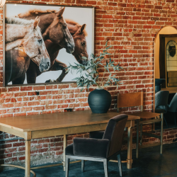 Curated Furnishing Collections