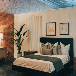 Curated Furnishing Collections