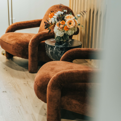 Curated Furnishing Collections