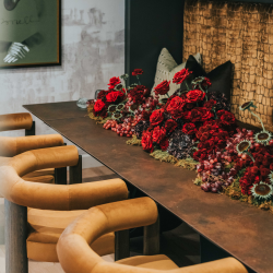 Curated Furnishing Collections