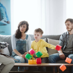 Family/Marital Therapy