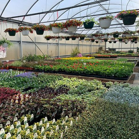 Greenhouse