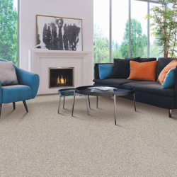 Carpet