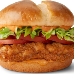 Chicken & Fish Sandwiches