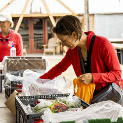 Food Security: Backyard Harvest Program