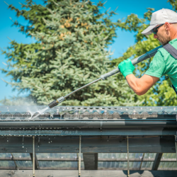 Roof Cleaning