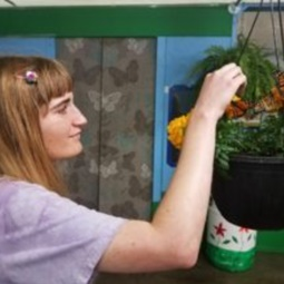 Life Skills Program 