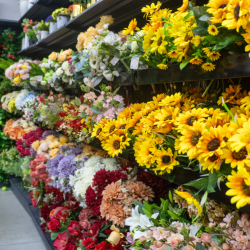 Floral Department