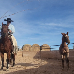 Roping