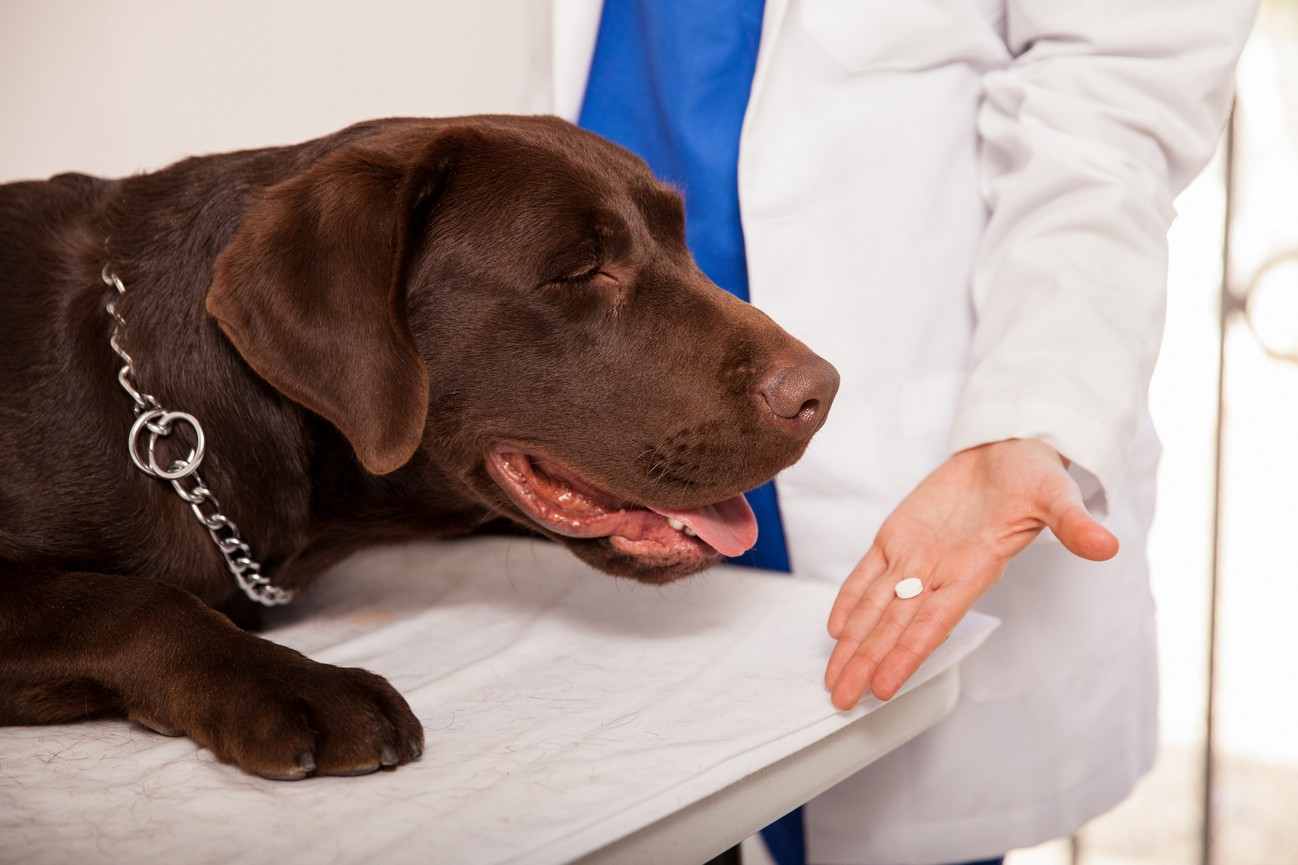 Preventative Care