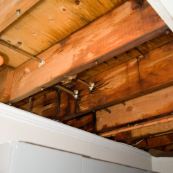 Water Damage Restoration