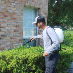Residential Pest Control